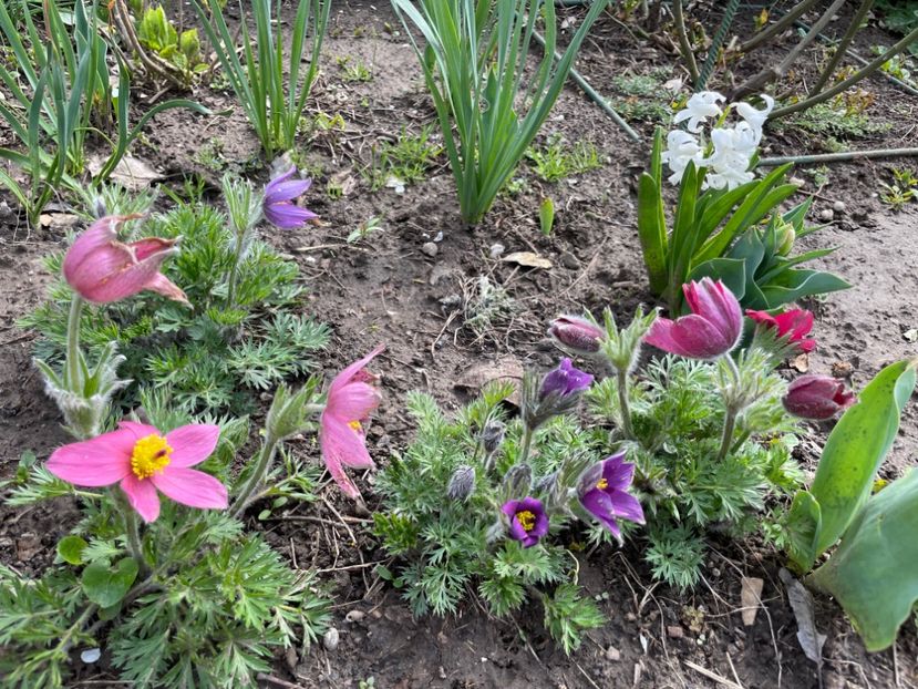 396EE56F-9310-4EC7-8A16-C44F91F867FC - 01 Primăvara 2023