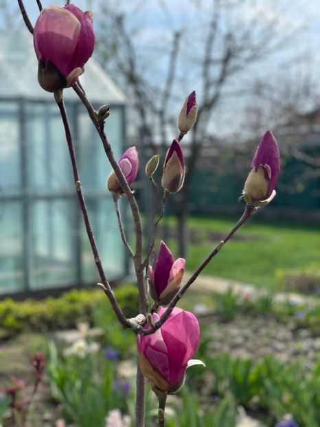 AD16A076-57F6-401B-B812-367B63C4F7FF - 01 Primăvara 2023