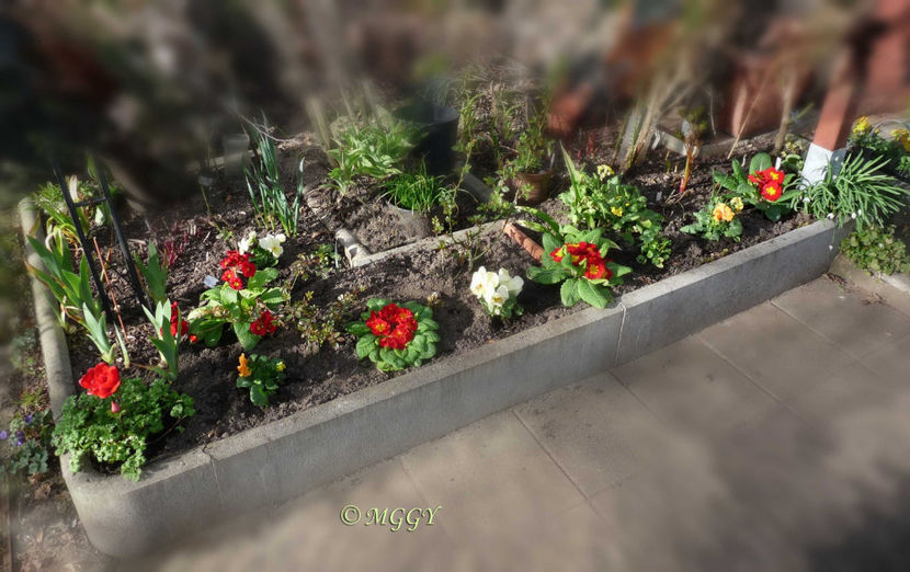 © - 2023 - 01 - Primavara