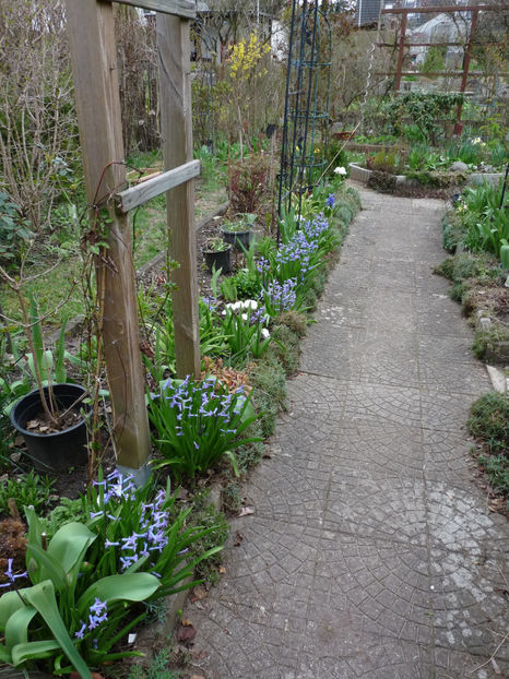  - 2023 - 01 - Primavara