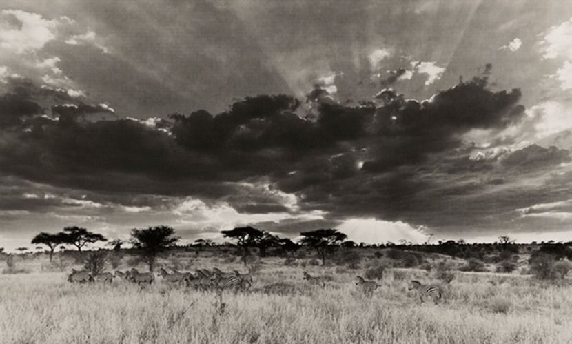 What language does light speak? - Collection of Tintypes