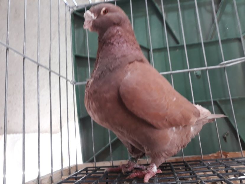 20230214_142756[1] - Amintiri