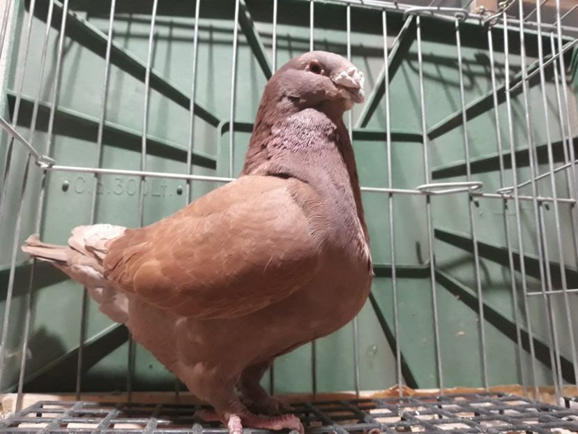 20230325_213521[1] - Amintiri