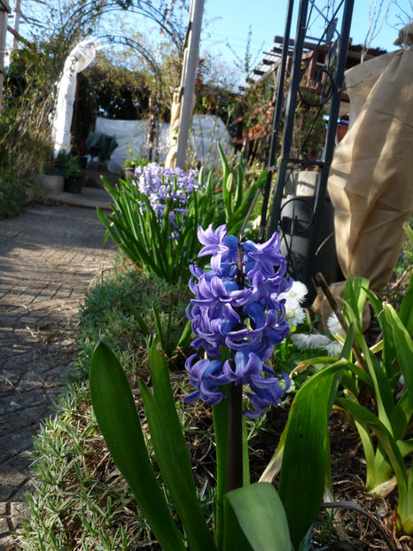  - 2023 - 01 - Primavara