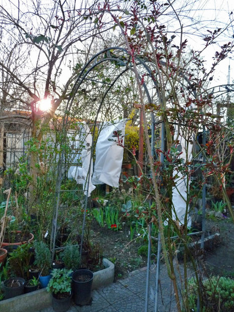 Lucrari in liber imposibil, prea frig. - 2023 - 01 - Primavara