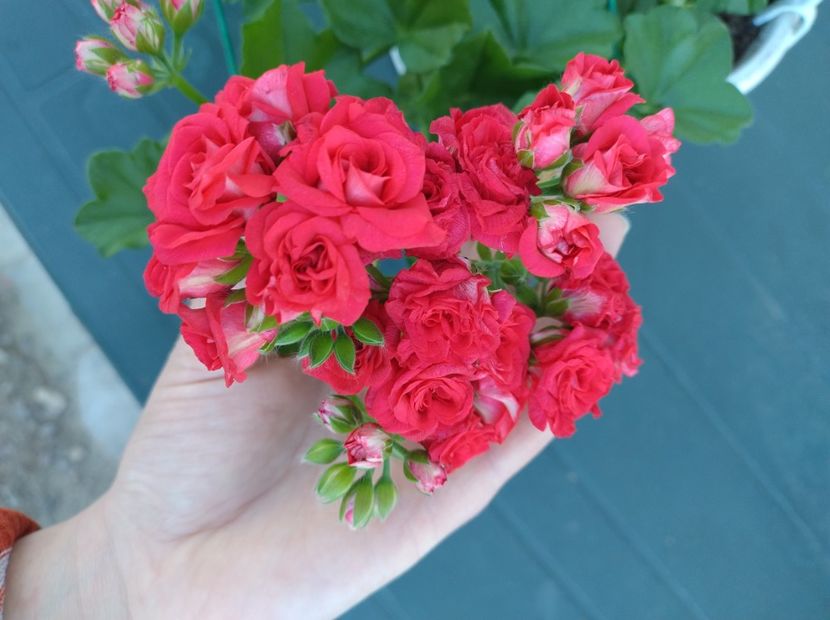  - Fiecare cu frumusetea ei