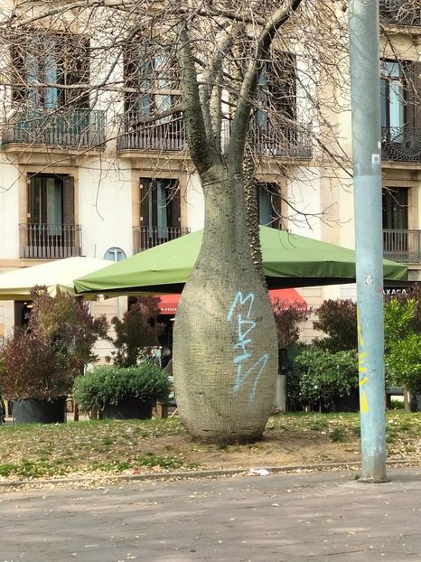 IMG20230306145114 - Barcelona 2023