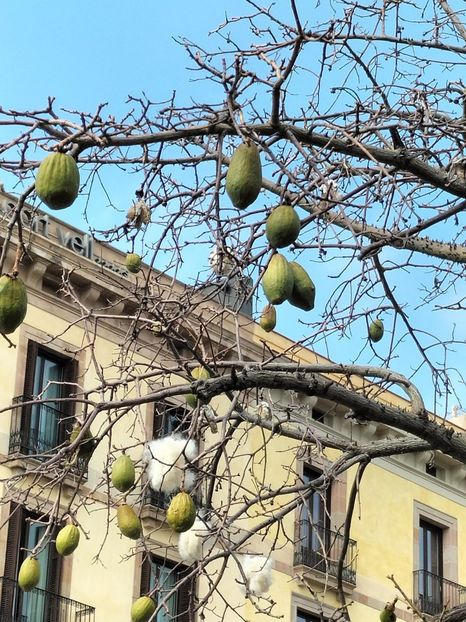 IMG20230306145008 - Barcelona 2023