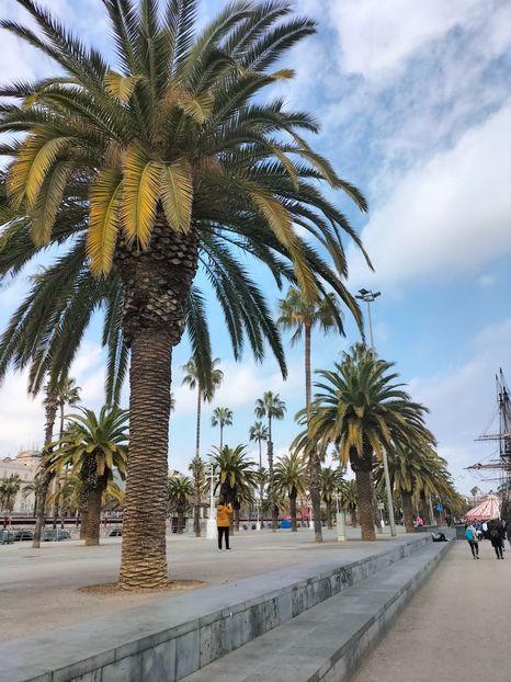 IMG20230306143334 - Barcelona 2023