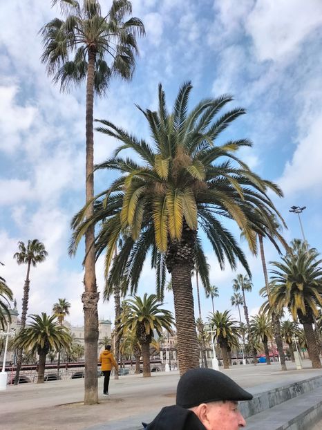 IMG20230306143328 - Barcelona 2023