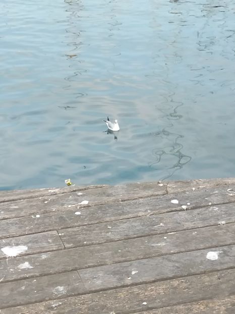 IMG20230306141953 - Barcelona 2023