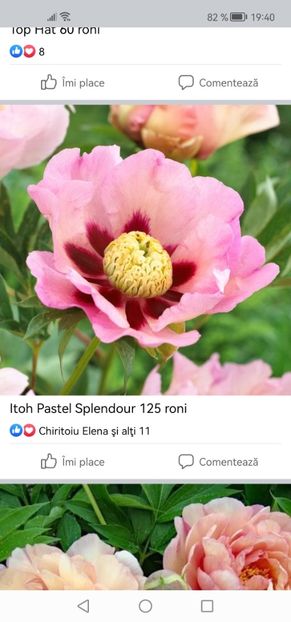Screenshot_20230331_194010_com.facebook.katana - Achiziții 2023