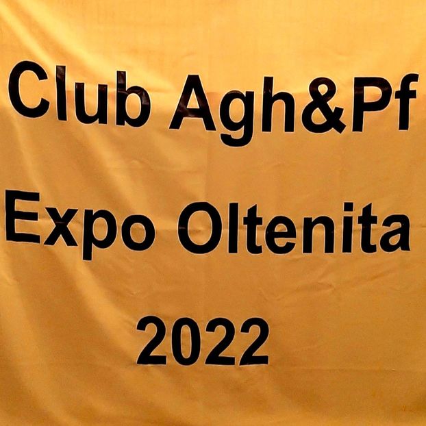  - Expo Oltenita Noiembrie 2023