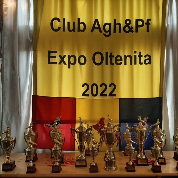  - Expo Oltenita Noiembrie 2023