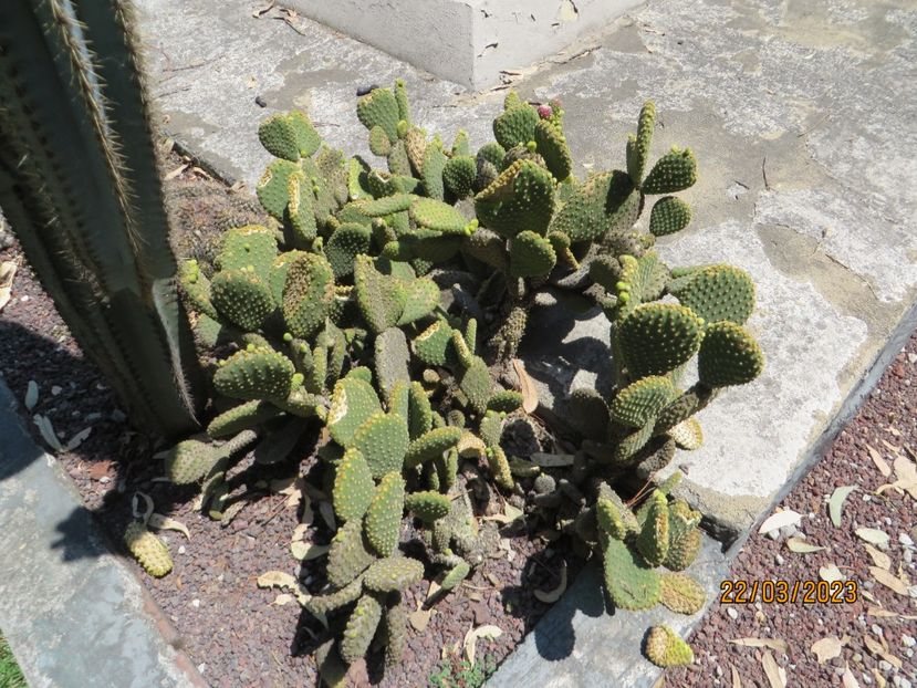  - 1 Mexico City