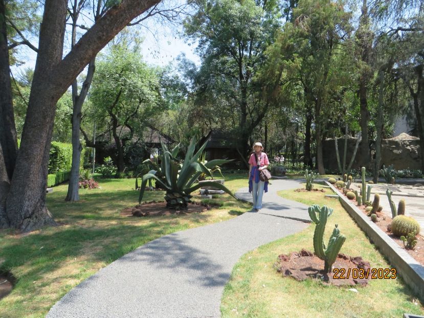  - 1 Mexico City