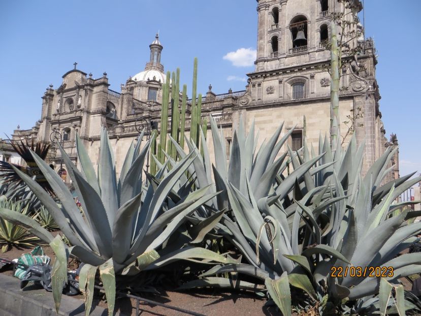  - 1 Mexico City