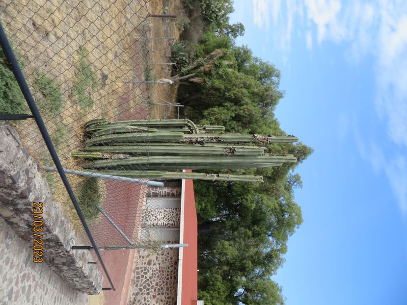  - 2 Teotihuacan- Bazilica Fecioarei Guadalupe