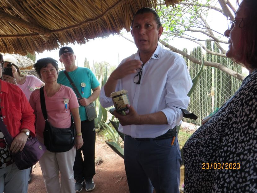  - 2 Teotihuacan- Bazilica Fecioarei Guadalupe