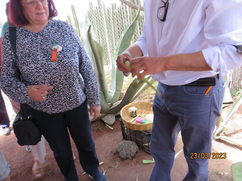  - 2 Teotihuacan- Bazilica Fecioarei Guadalupe