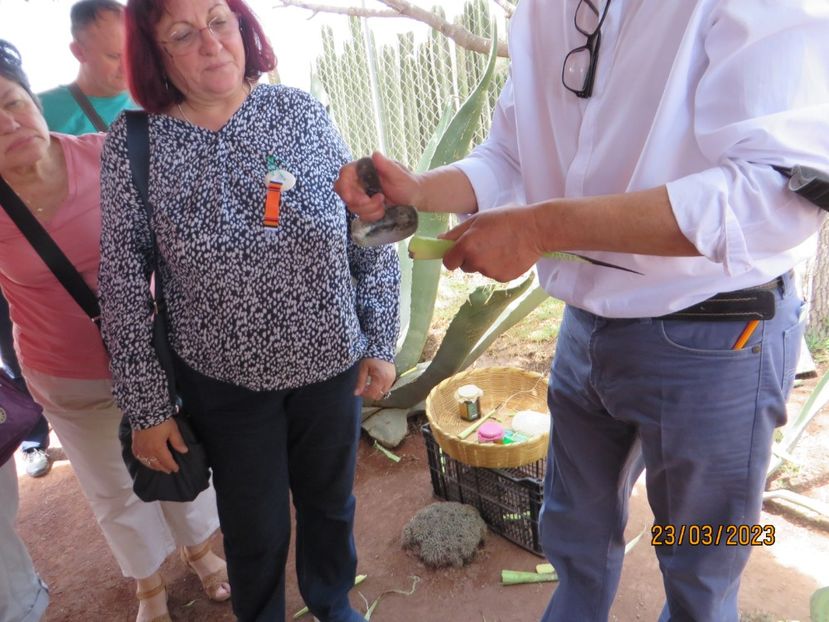  - 2 Teotihuacan- Bazilica Fecioarei Guadalupe
