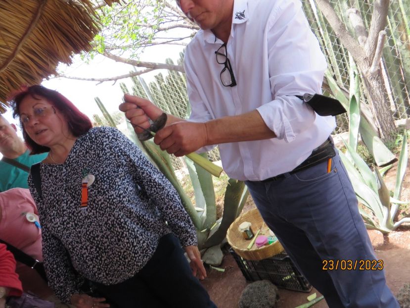  - 2 Teotihuacan- Bazilica Fecioarei Guadalupe