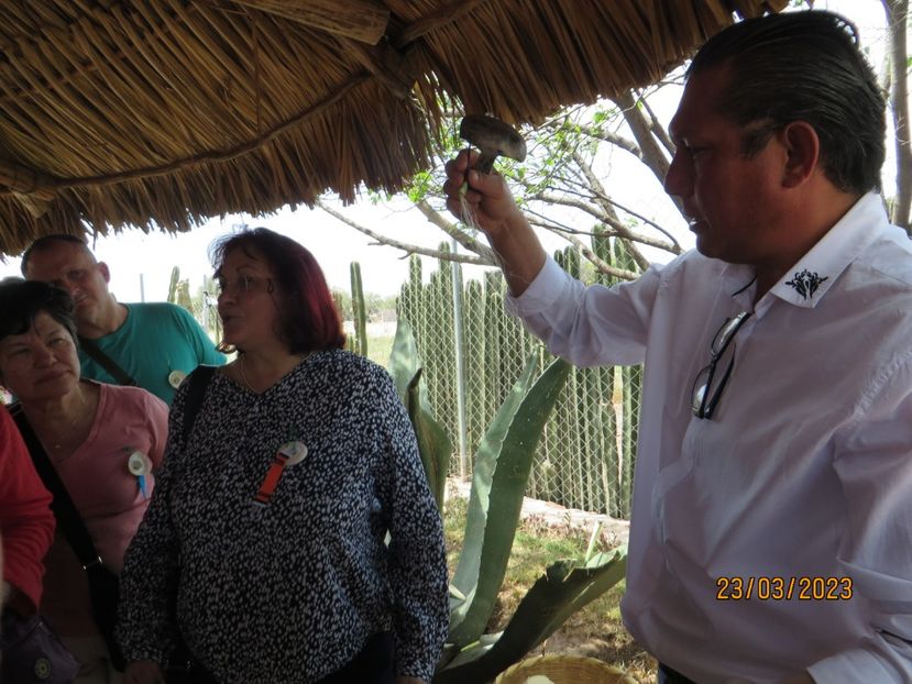  - 2 Teotihuacan- Bazilica Fecioarei Guadalupe