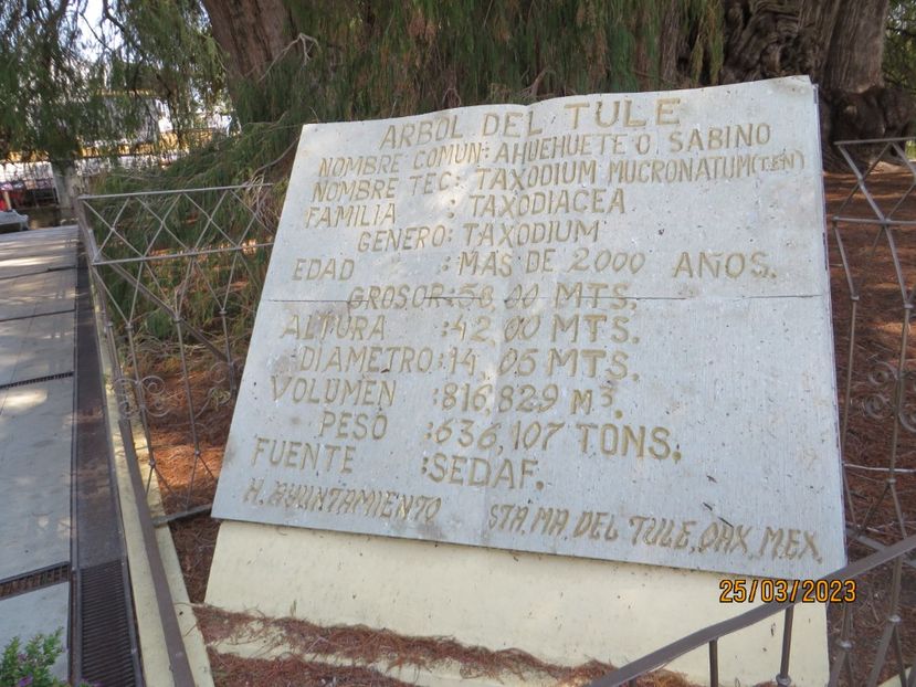  - 4 Monte Alban - Mitla