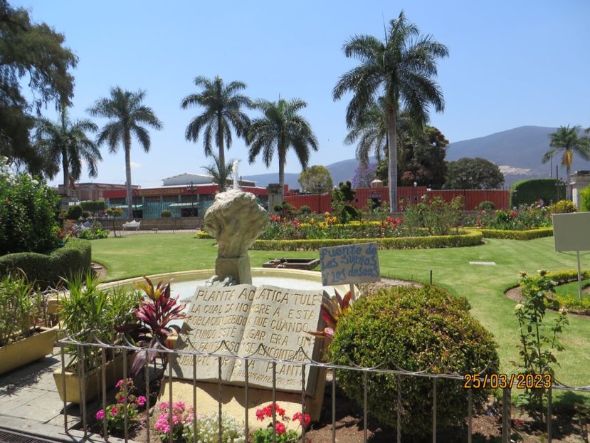  - 4 Monte Alban - Mitla