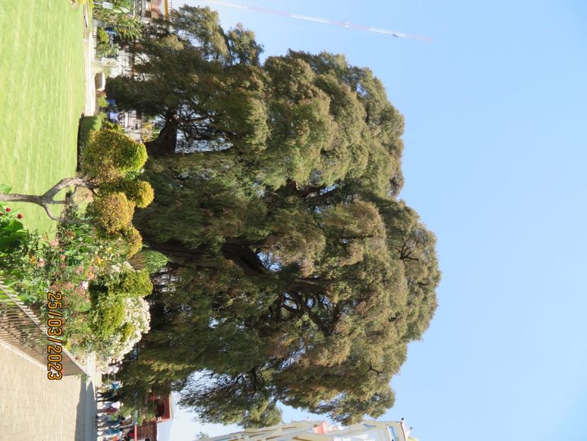  - 4 Monte Alban - Mitla