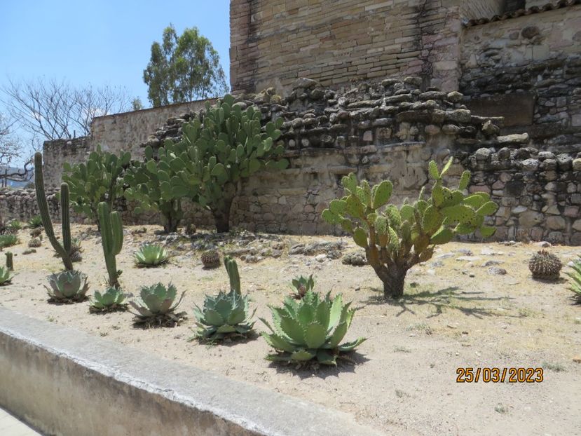  - 4 Monte Alban - Mitla