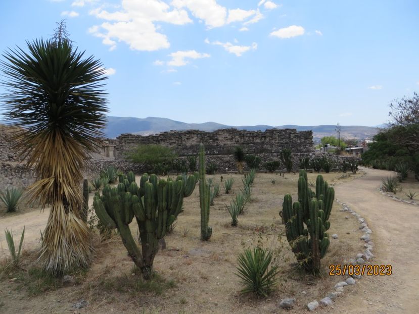  - 4 Monte Alban - Mitla