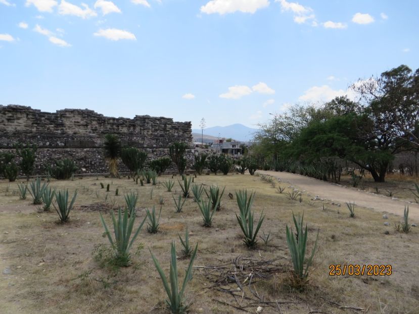  - 4 Monte Alban - Mitla
