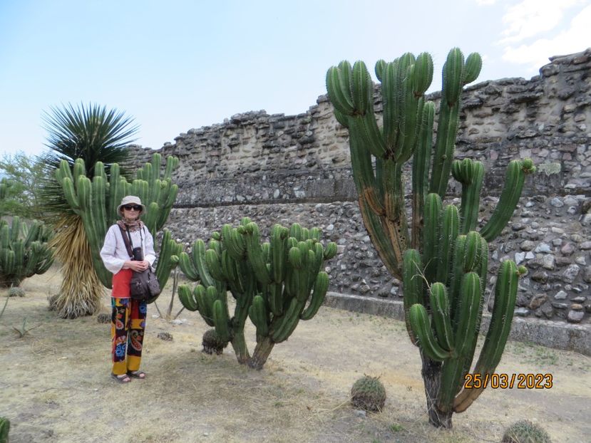  - 4 Monte Alban - Mitla