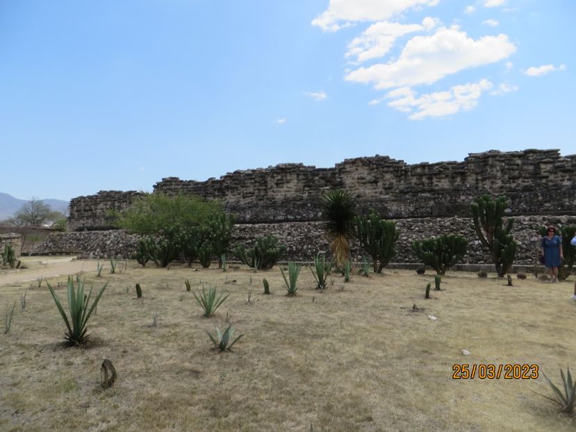  - 4 Monte Alban - Mitla