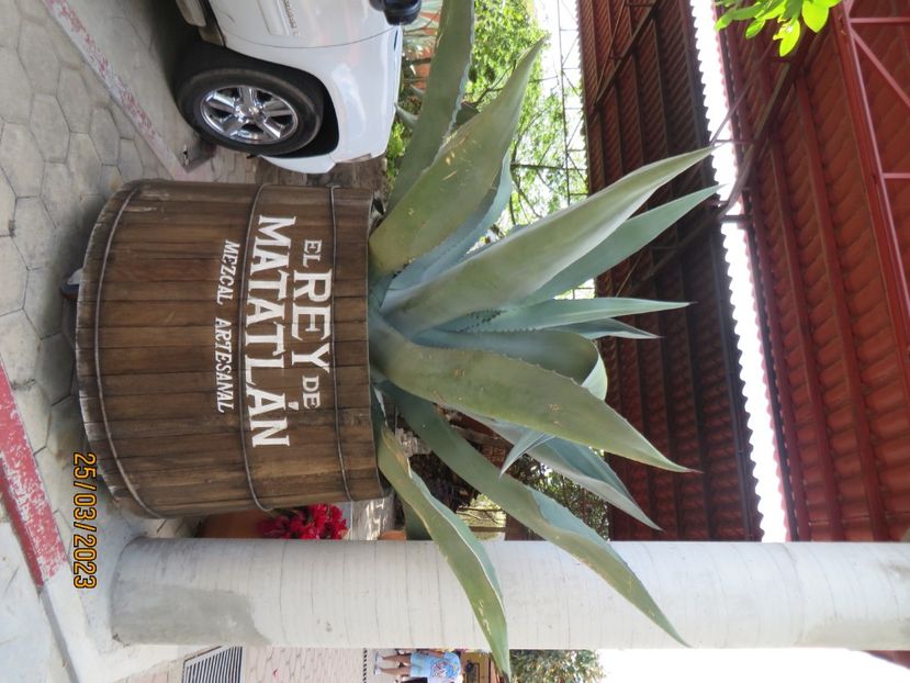  - 4 Monte Alban - Mitla