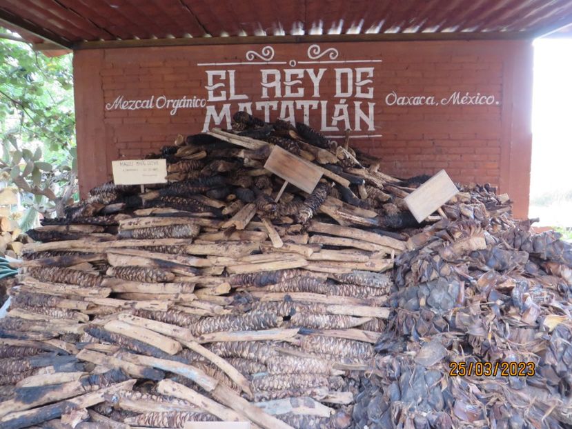  - 4 Monte Alban - Mitla