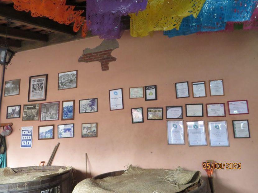  - 4 Monte Alban - Mitla
