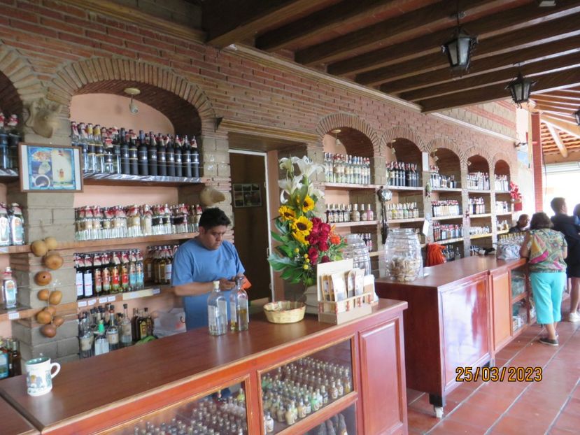  - 4 Monte Alban - Mitla