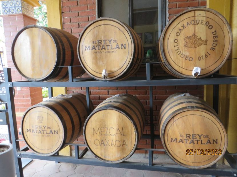  - 4 Monte Alban - Mitla