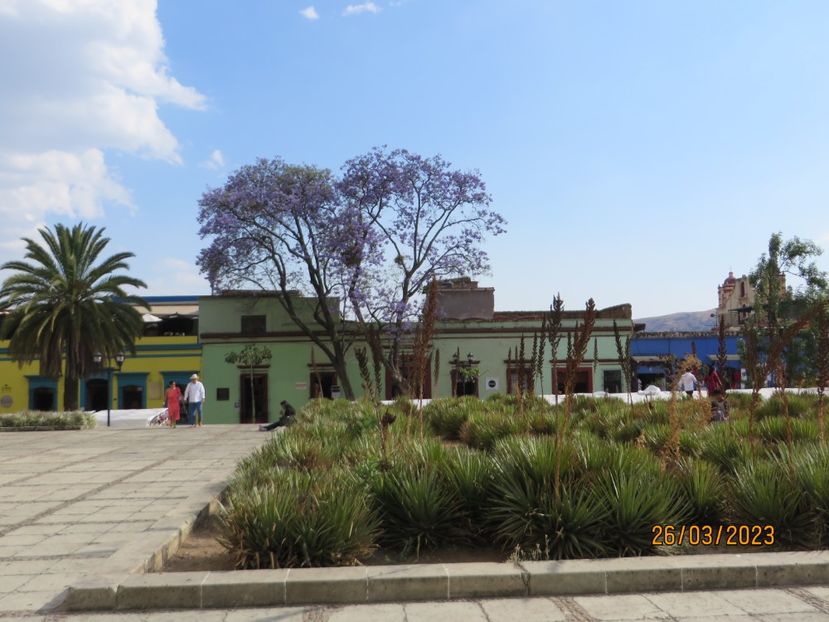  - 4 Monte Alban - Mitla