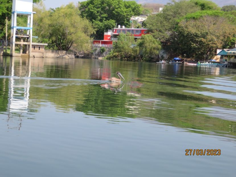  - 5 Canionul Sumidero - Chiapa de Corzo