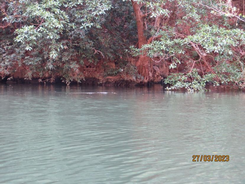  - 5 Canionul Sumidero - Chiapa de Corzo