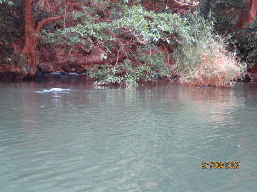  - 5 Canionul Sumidero - Chiapa de Corzo