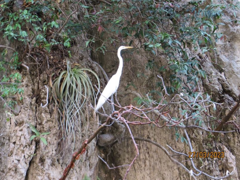  - 5 Canionul Sumidero - Chiapa de Corzo