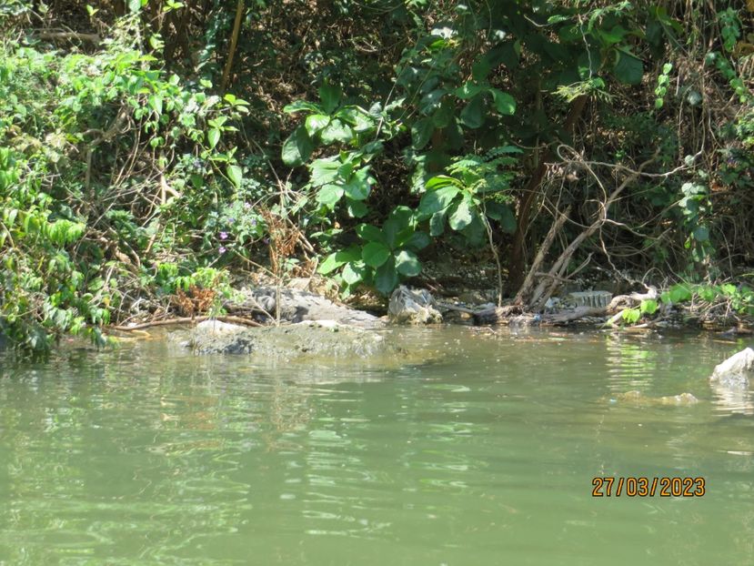  - 5 Canionul Sumidero - Chiapa de Corzo