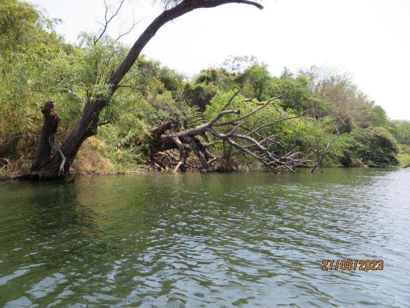  - 5 Canionul Sumidero - Chiapa de Corzo