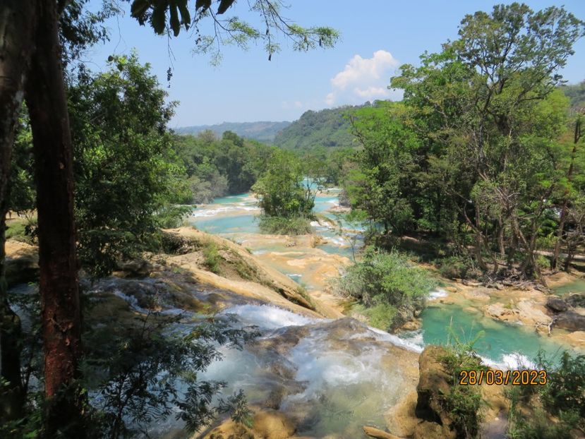  - 6 Aqua Azul - Miso Ha