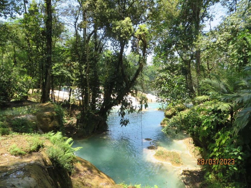  - 6 Aqua Azul - Miso Ha