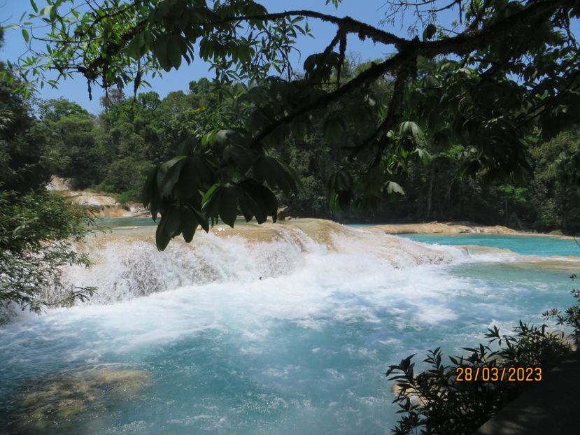  - 6 Aqua Azul - Miso Ha